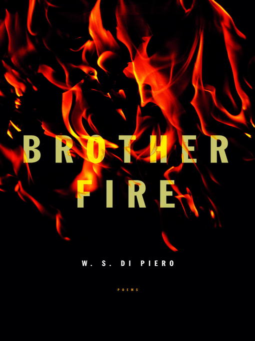 Cover image for Brother Fire